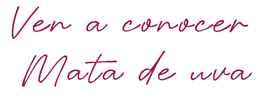 Ven a conocer Mata de Uva